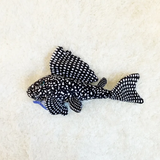 Load image into Gallery viewer, Famous Pleco Plushie