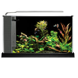 Load image into Gallery viewer, Fluval Spec Aquarium Kit - Black - 19 L (5 US gal)