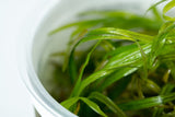 Load image into Gallery viewer, 1-2-Grow! Blyxa japonica