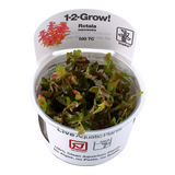 Load image into Gallery viewer, 1-2-Grow! Rotala macrandra