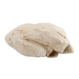 Load image into Gallery viewer, Feller Stone Elephant Skin Rock