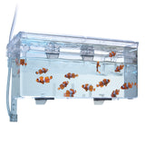 Load image into Gallery viewer, Fluval Multi-Chamber Holding &amp; Breeding Box - 10.25 in L x 5.5 in W x 4.75 in H