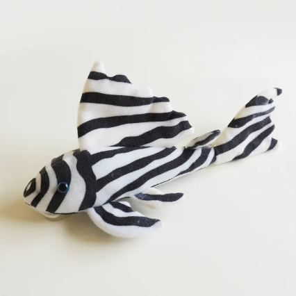 Pleco Zebra Plushie Killick Coast Aquarium